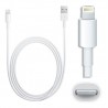 CABLE USB IPHONE EFFETEC